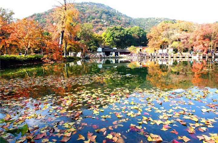 天平山賞紅楓