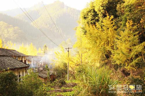 南雄帽子峰林場