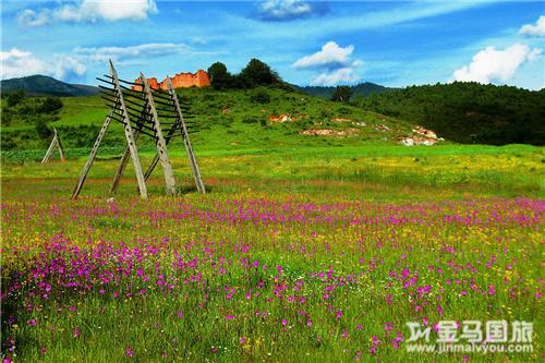 春節云南旅游