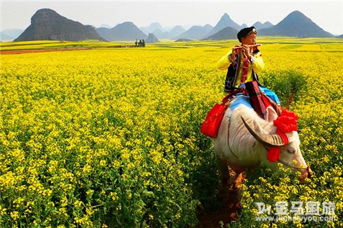 元宵節(jié)旅游攻略 