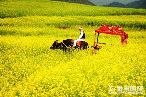 云南旅游景點大全