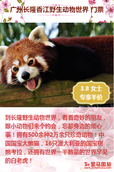 三八婦女節旅游