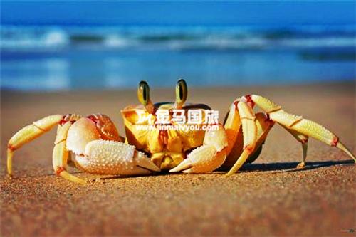 惠州巽寮灣