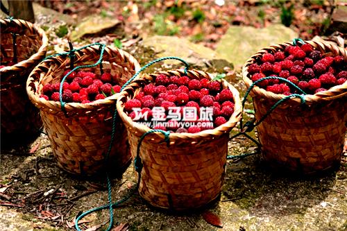 廣州六一好去處