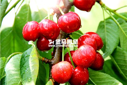 廣州六一好去處