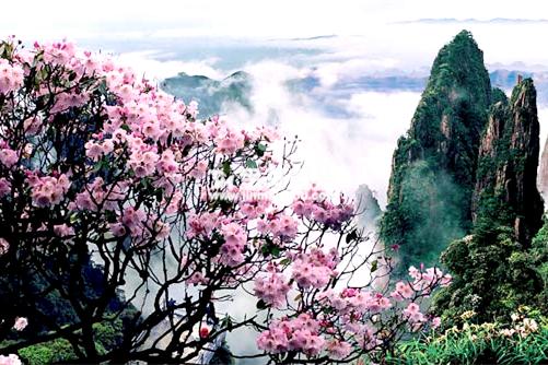 莽山森林溫泉