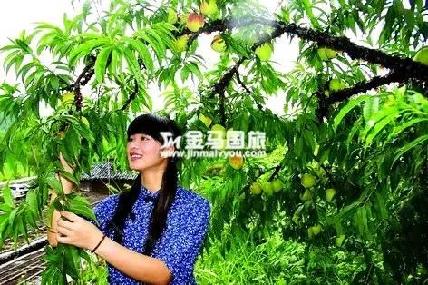 廣州周邊游