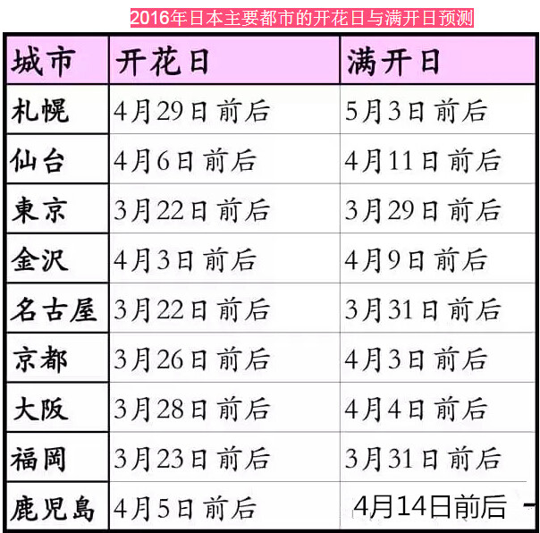 2016日本賞櫻全攻略 2016日本賞櫻全攻略