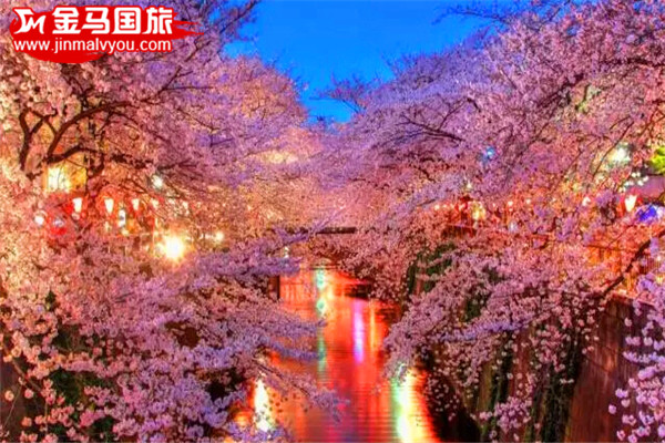2016日本賞櫻全攻略 2016日本賞櫻全攻略
