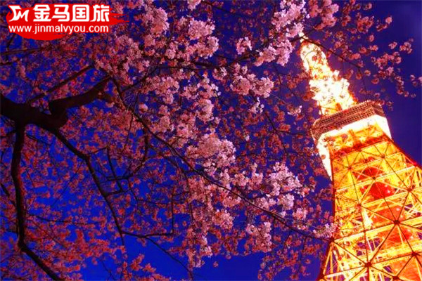 2016日本賞櫻全攻略 2016日本賞櫻全攻略