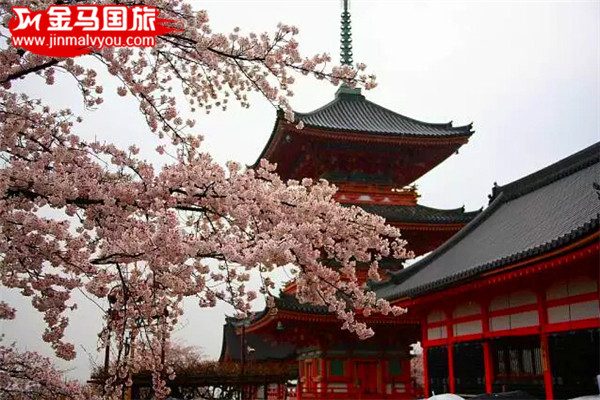 2016日本賞櫻全攻略 2016日本賞櫻全攻略