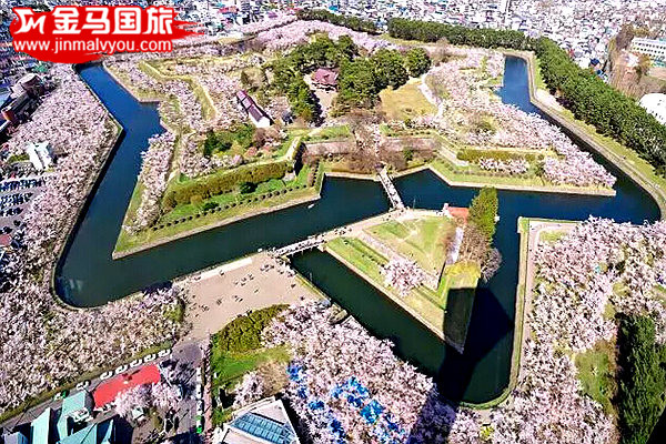 2016日本賞櫻全攻略 2016日本賞櫻全攻略