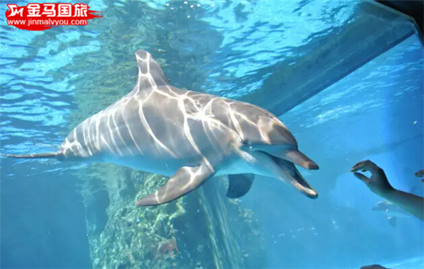 珠海長隆海洋王國 珠海長隆海洋王國