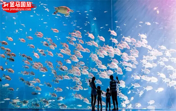 珠海長隆海洋王國 珠海長隆海洋王國