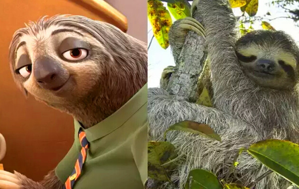 瘋狂動物城 瘋狂動物城